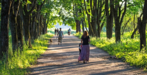 Take a Walk