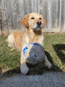 playing