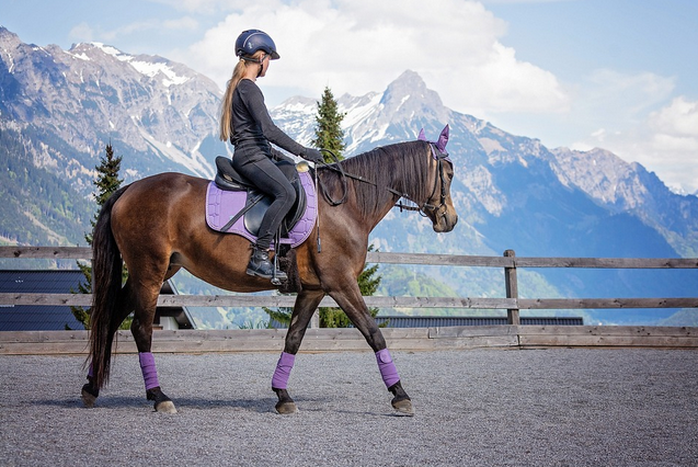 equestrian